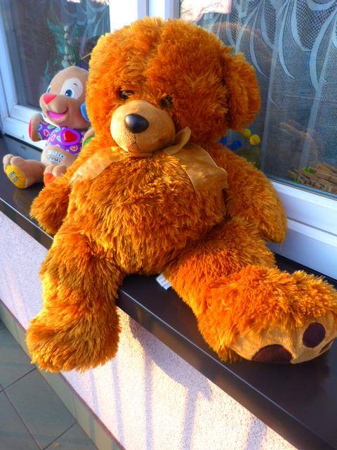 ox_szczeniaczek-uczniaczek-fisher-price-i-ogromny-pluszowybrazowy-mis