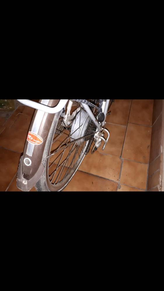 ox_sprzedam-rower-elektryczny-batavus