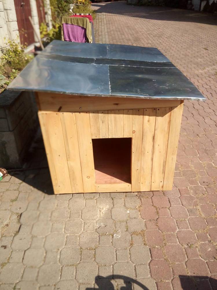 ox_buda-dla-psaocieplonanowa