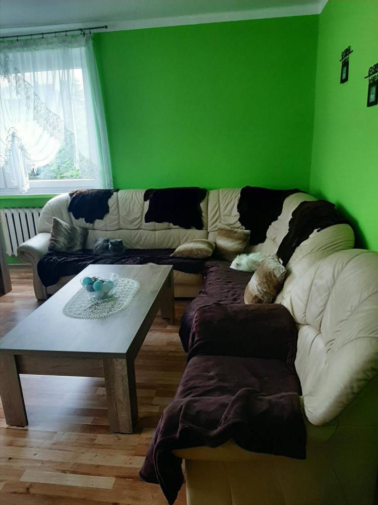 ox_naroznik-ze-skory
