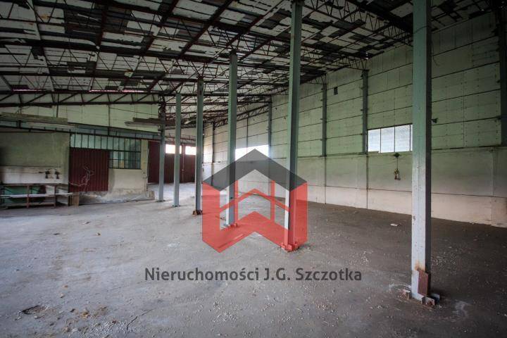 ox_hazlachdebowiec-k-cieszyna-hale-do-wynajecia-powierzchnia-465-m2