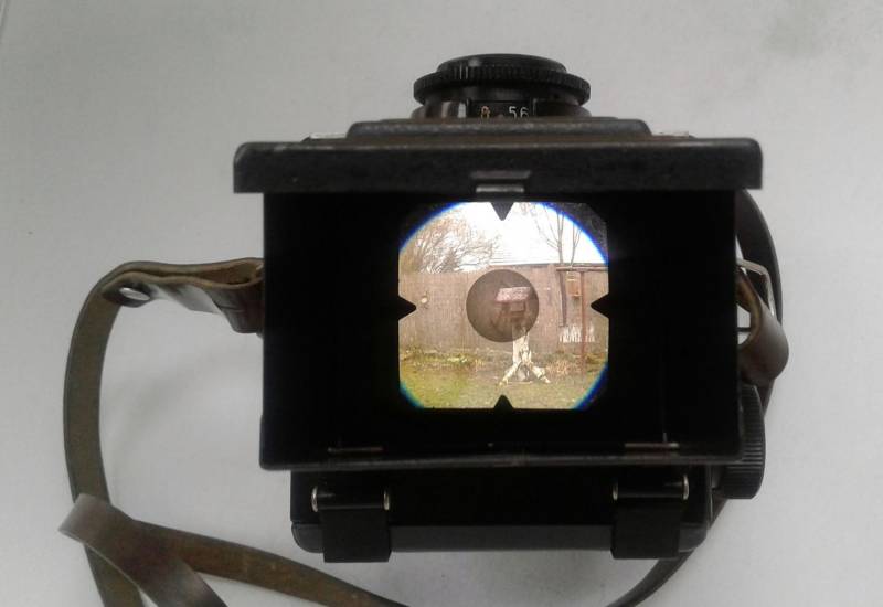 ox_lubitel-2
