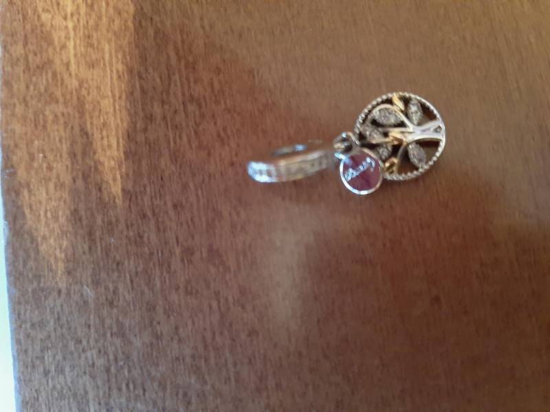 ox_charms-pandora-drzewo-zycia-szczescia-genealogiczne-srebro-s925