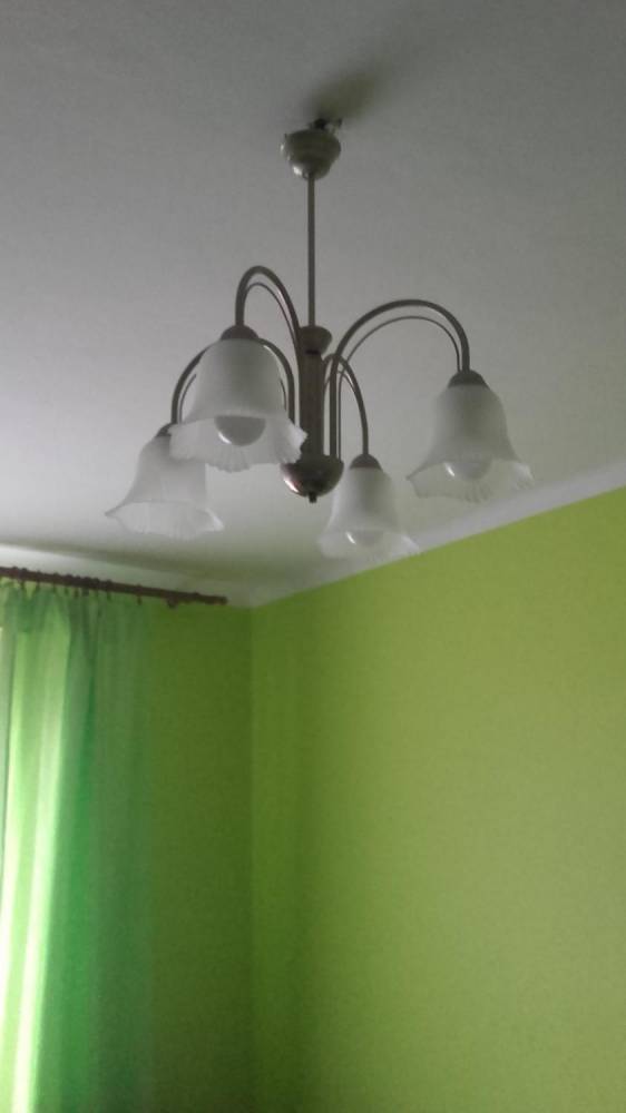 ox_lampa