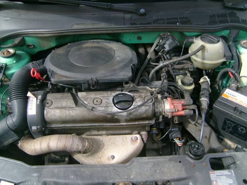 ox_volkswagen-polo