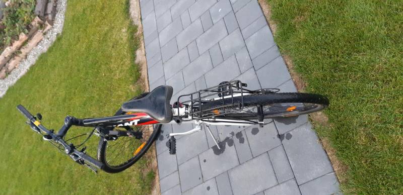 ox_sprzedam-rower-firmy-giant-damskki