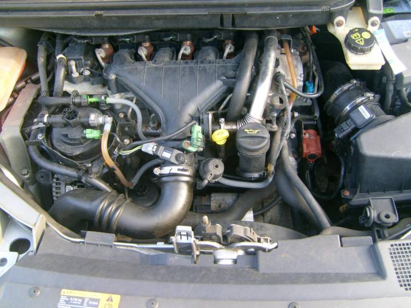 ox_ford-cmax