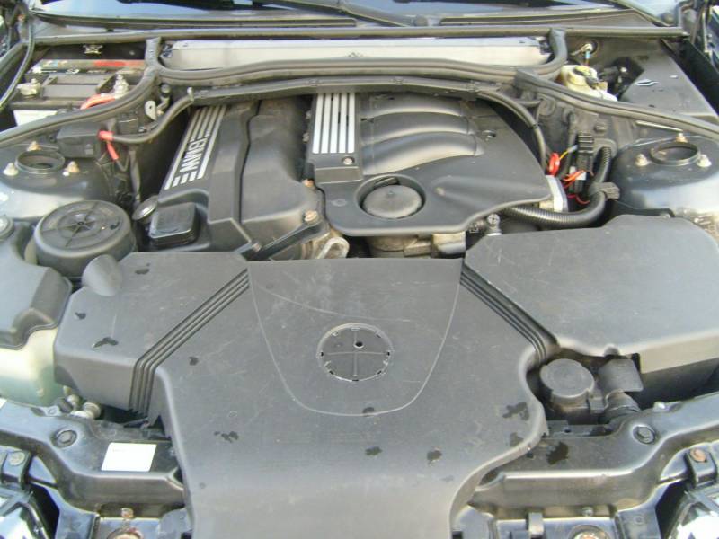 ox_bmw-e-46-318