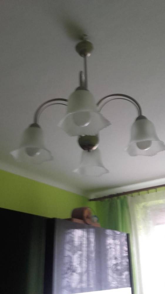 ox_lampa