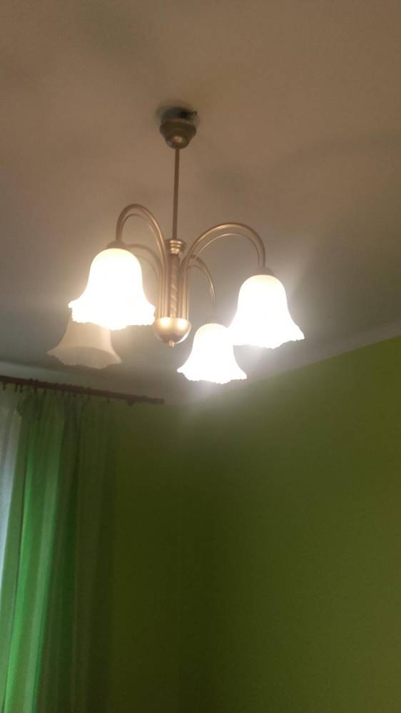 ox_lampa