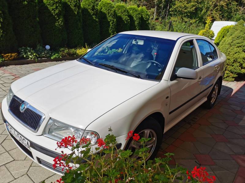 ox_skoda-octavia-ice-2002-rok-biala-benzyna-bezwypadkowy