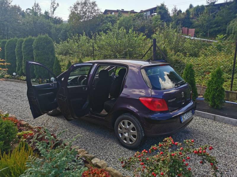 ox_peugeot-307-14-mistral-benzyna-bezwypadkowy