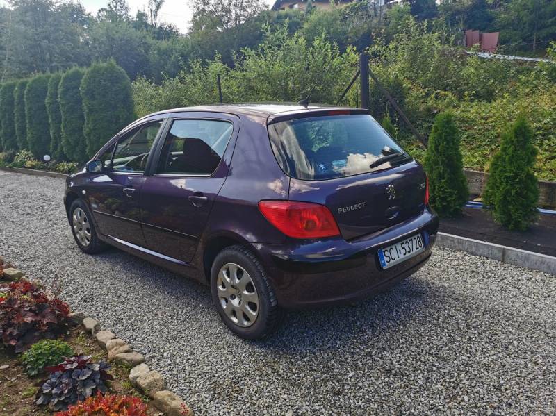 ox_peugeot-307-14-mistral-benzyna-bezwypadkowy