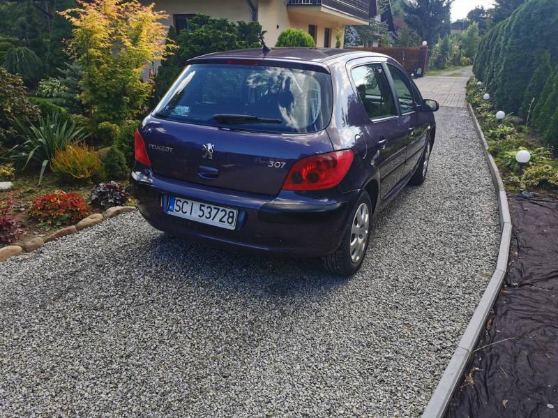 ox_peugeot-307-14-mistral-benzyna-bezwypadkowy