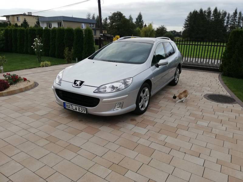 ox_peugeot-407-sw-20hdi-rok-2008-przebieg-120tyskm
