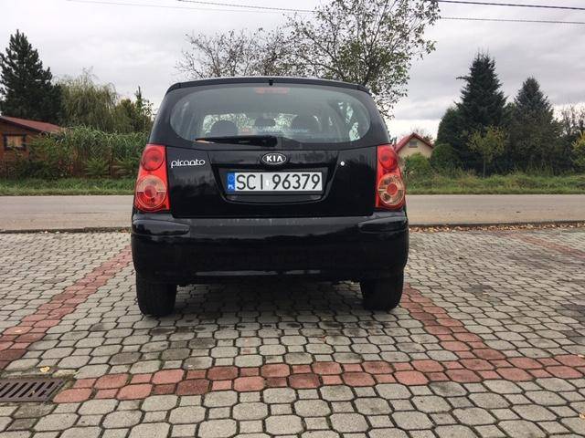 ox_kia-picanto
