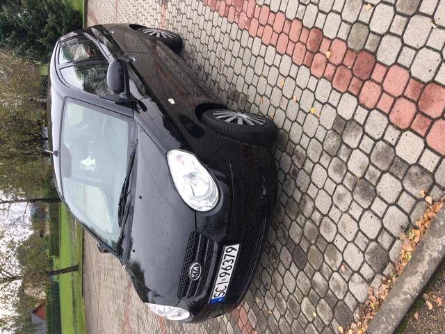 ox_kia-picanto