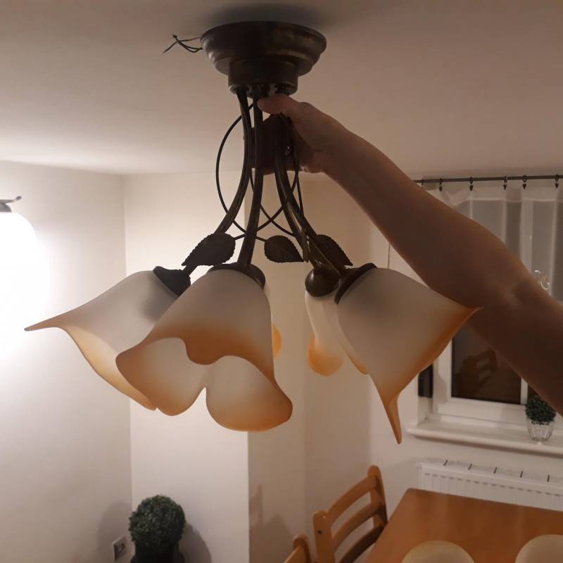 ox_lampa