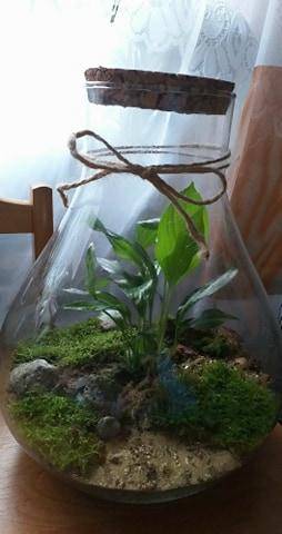 ox_las-w-sloiku-30x20cm-prezent