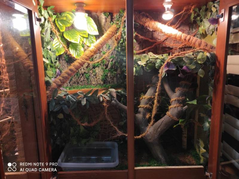 ox_terrarium