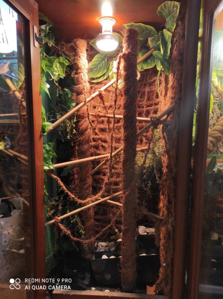 ox_terrarium