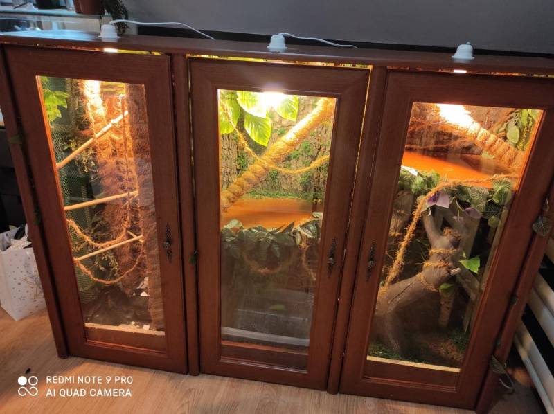ox_terrarium