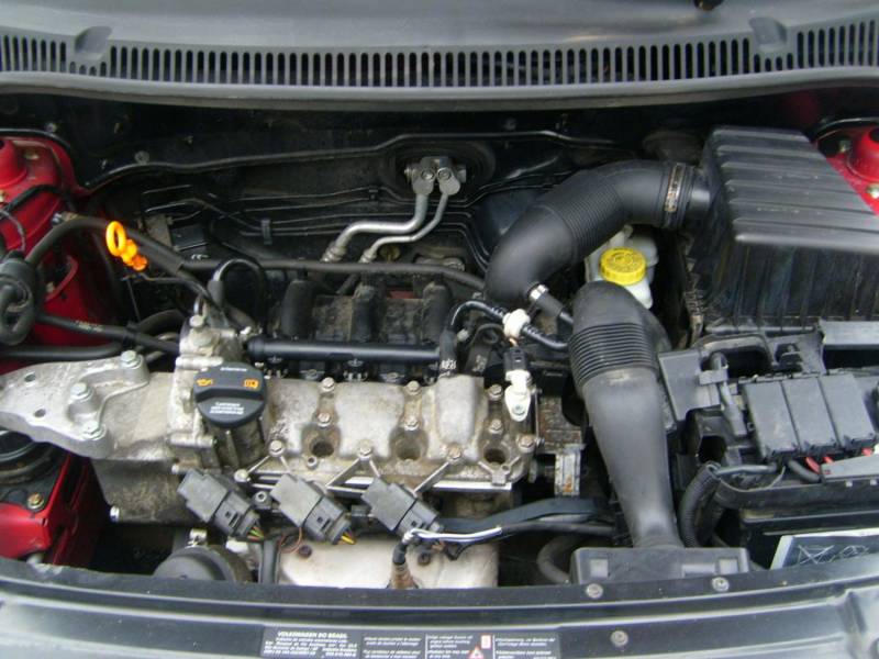 ox_volkswagen-fox