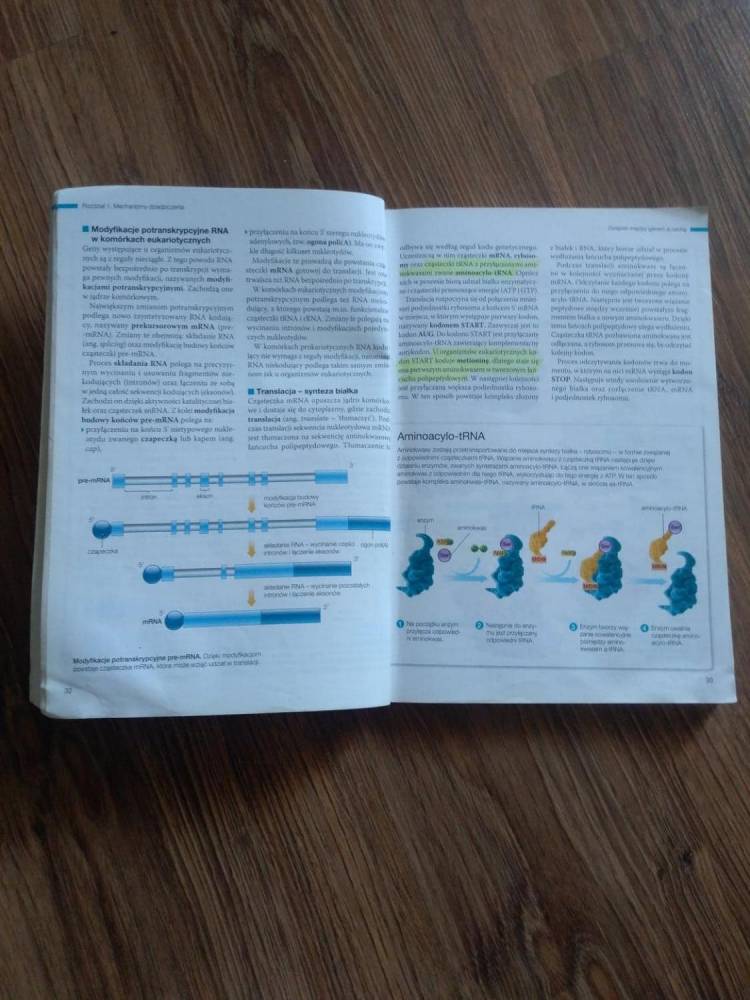 ox_biologia-na-czasie-3-podrecznik-zakres-rozszerzony-nowa-era