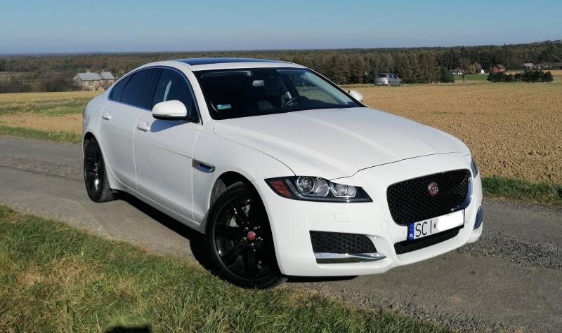 ox_jaguar-xf-x260-skora-navi-20t-250km-okazja-polska-2019-nowe-opony-18