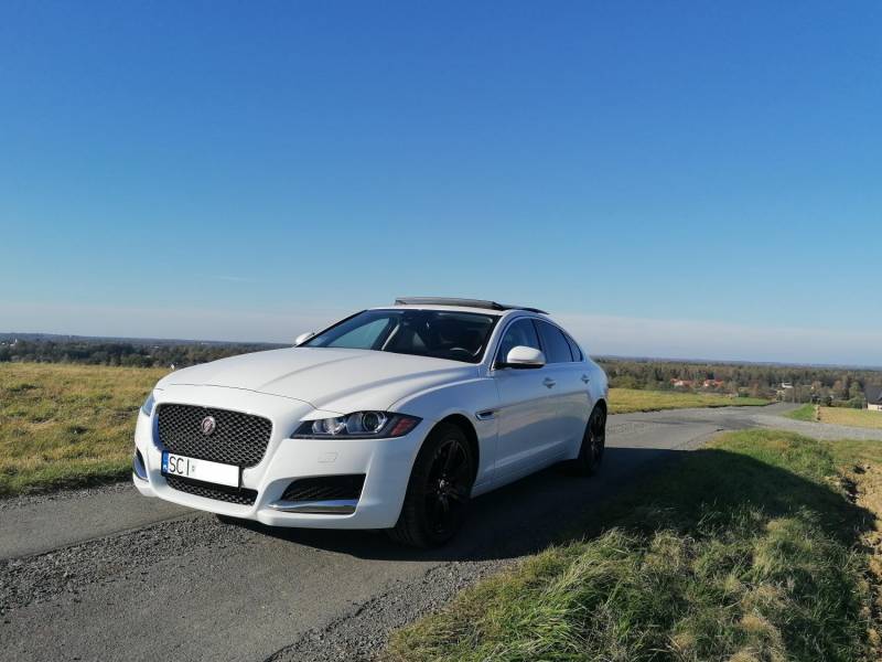 ox_jaguar-xf-x260-skora-navi-20t-250km-okazja-polska-2019-nowe-opony-18