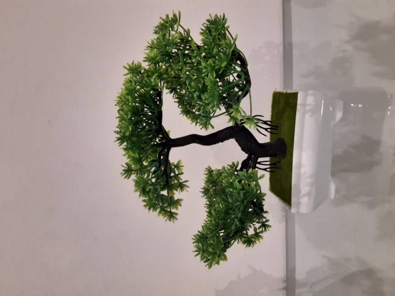 ox_drzewka-bonsai-sztuczne-roslinki