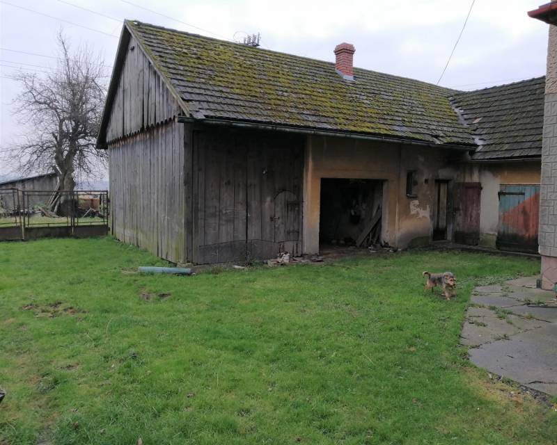 ox_dom-z-potencjalem-w-konczycach-wielkich