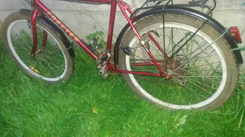 ox_rower-kola-26