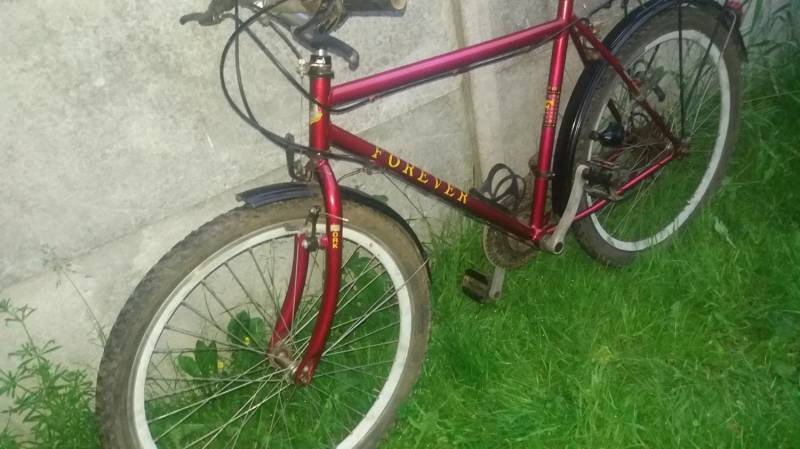 ox_rower-kola-26