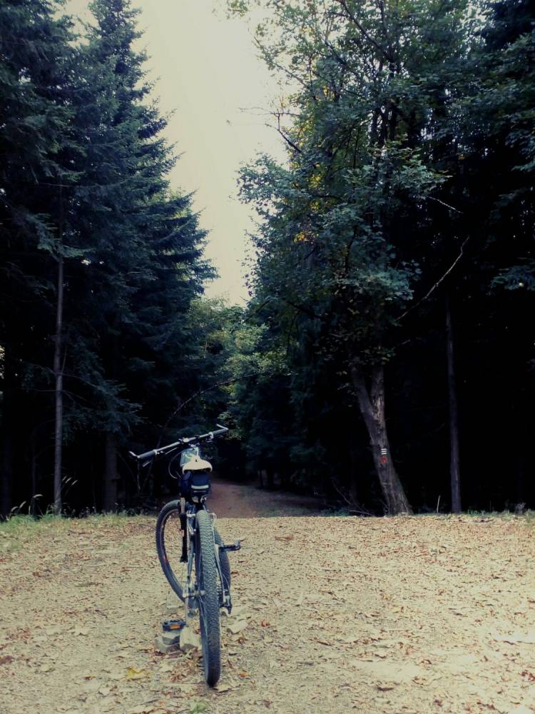 ox_rower-gorski-hardtail-saveno-xvr-10