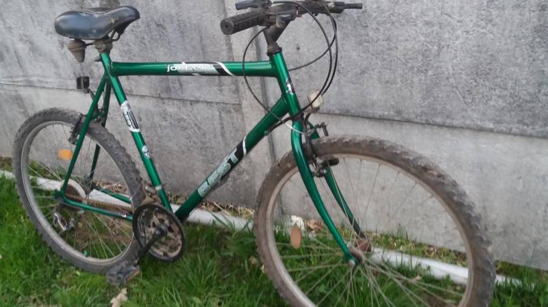 ox_rower-kola-26