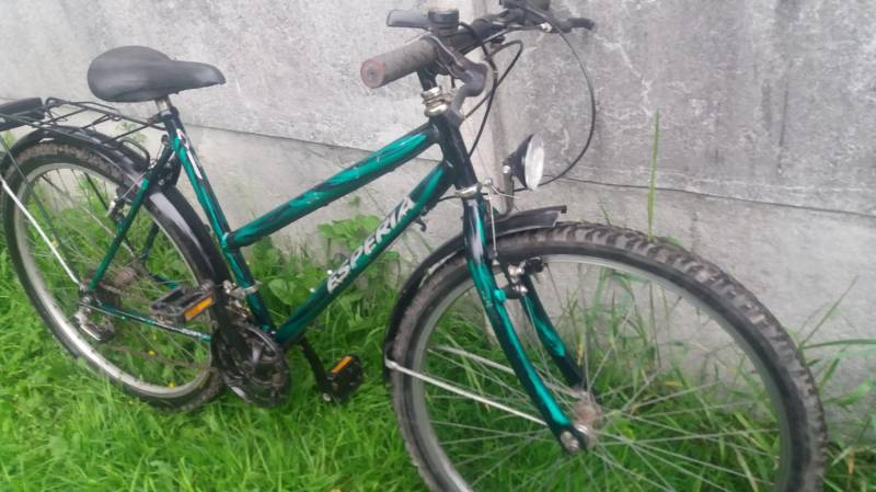 ox_rower-kola-26