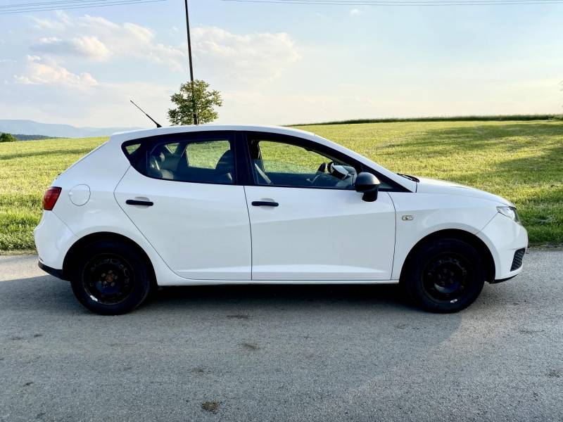 ox_sprzedam-seat-ibiza-2010-przebieg-148-962-km-silnik-14