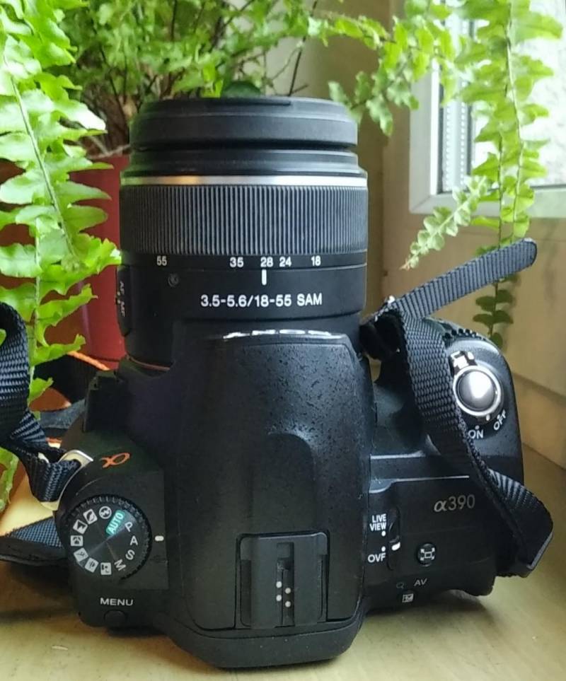 ox_sony-dslr-a390