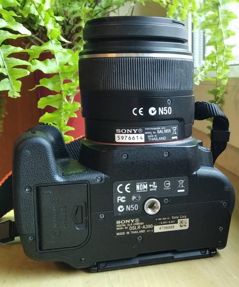 ox_sony-dslr-a390