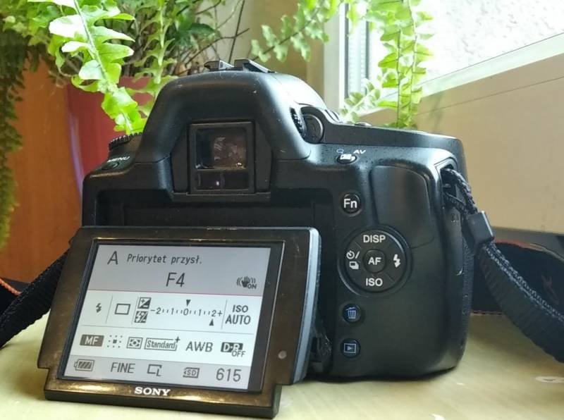 ox_sony-dslr-a390