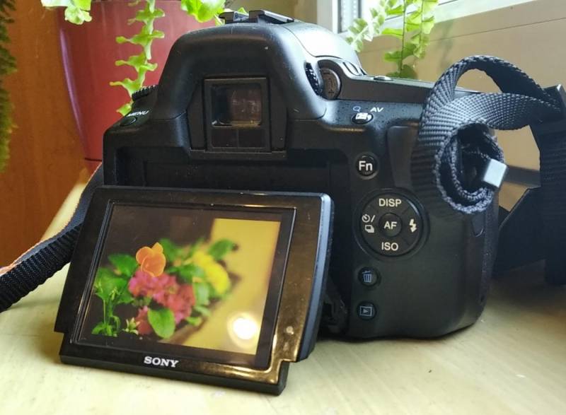 ox_sony-dslr-a390