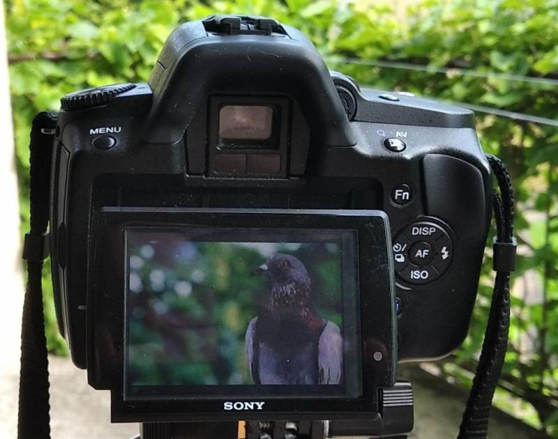 ox_lustrzanka-cyfrowa-sony-dslr-a390