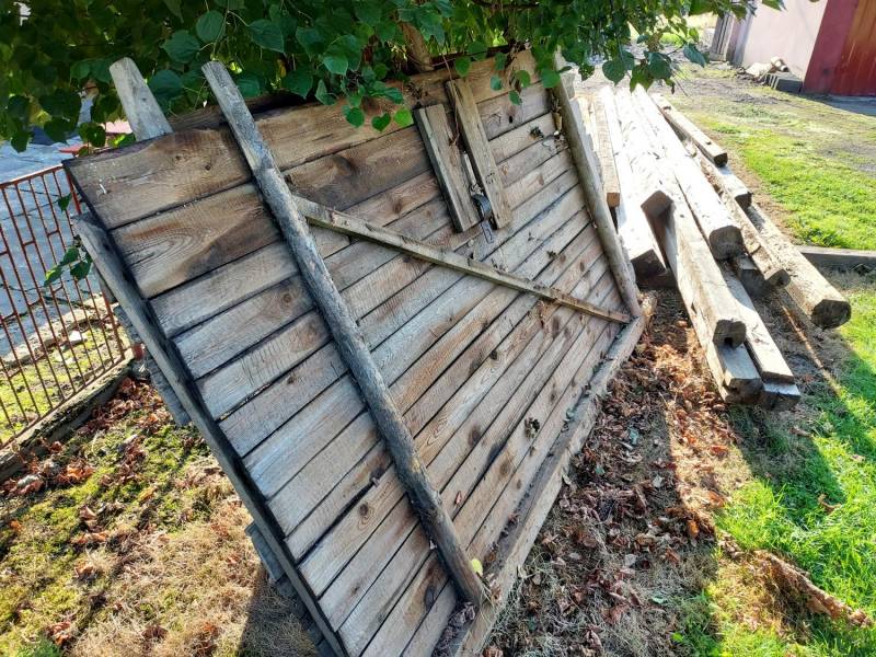 ox_drewno-duzej-wiezby-na-80-do-wykorzystania-sobie-na-inne-potrzeby