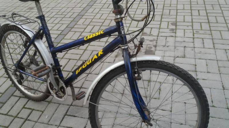 ox_rower-kola-26