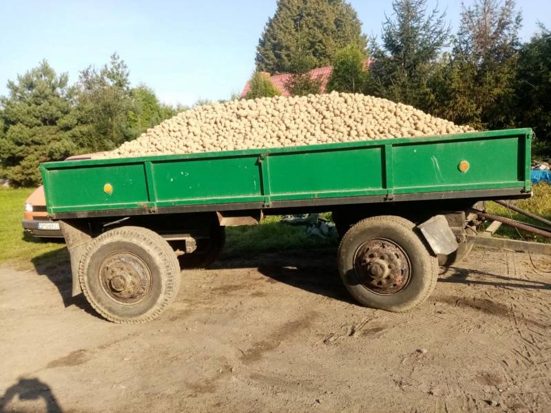 ox_zamowienia-od-rol-na-ziemniaki-jadalne-odm-gala-wrzesienpazdziernik