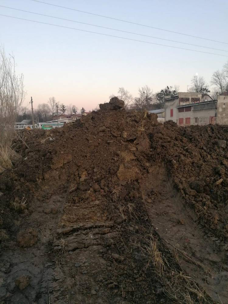 ox_ziemia-za-darmo-celina-glina