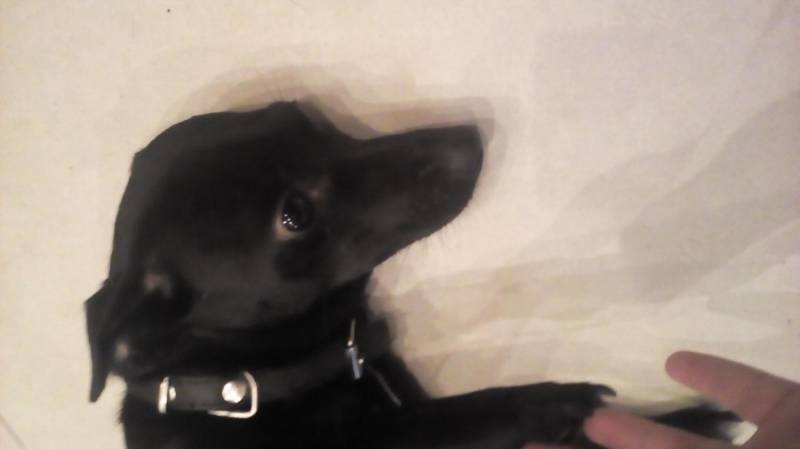 20210930_160403.jpg