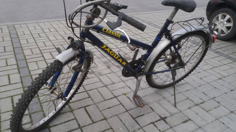 ox_rower-kola-26