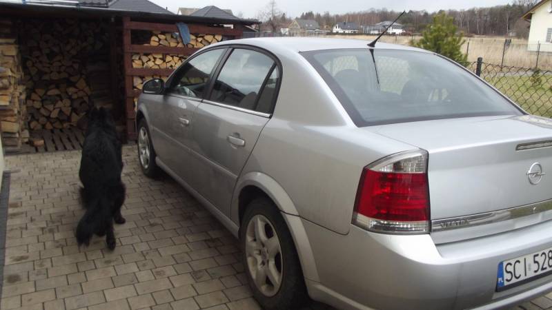 ox_opel